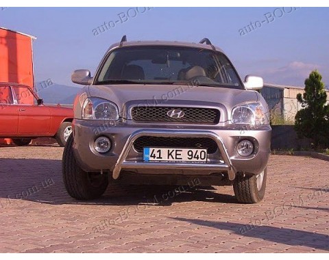 Кенгурятники на Hyundai Santa Fe 01-05 (st-line)