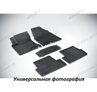 Резиновые коврики в салон BMW 5 F10/F11 09- (Interplast)