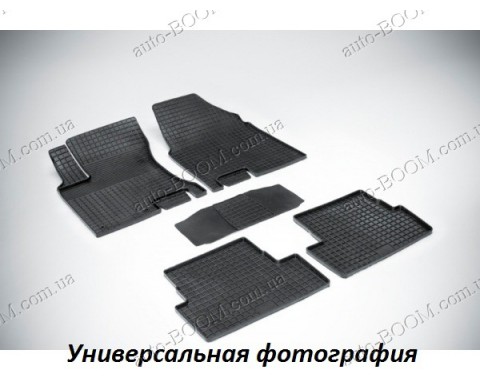 Резиновые коврики в салон BMW 5 F10/F11 09- (Interplast)