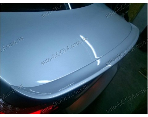 Спойлер Шницер на крышку багажника BMW 5 E60/E61 03-10 (Lerrium)