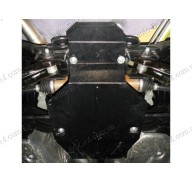 Защита дифференциала Ford Kuga 08-12 (Кольчуга 1.0463.00)